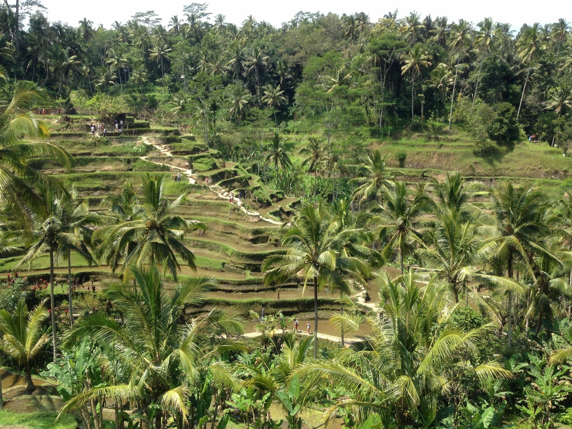 Mano House Appartement Ubud Buitenkant foto
